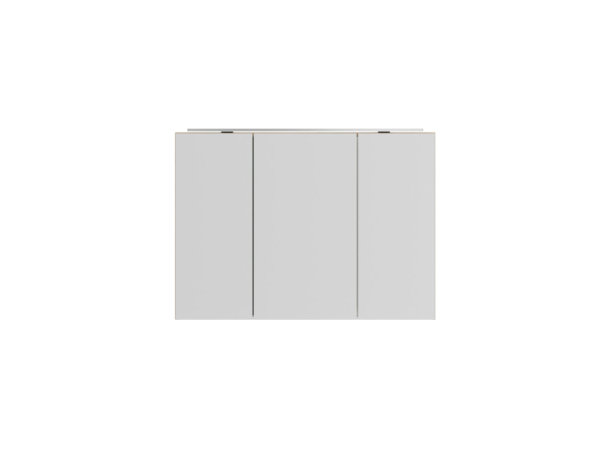 Spiegelschrank "Max" 100 cm