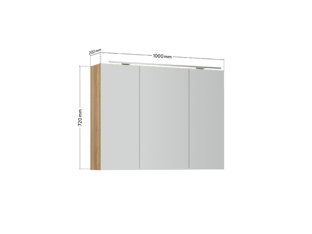 Spiegelschrank "Max" 100 cm